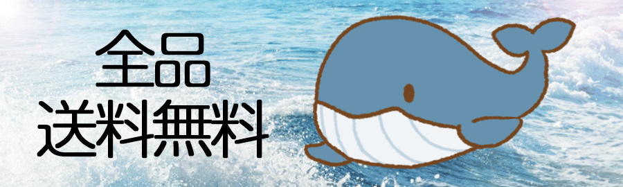 送料無料